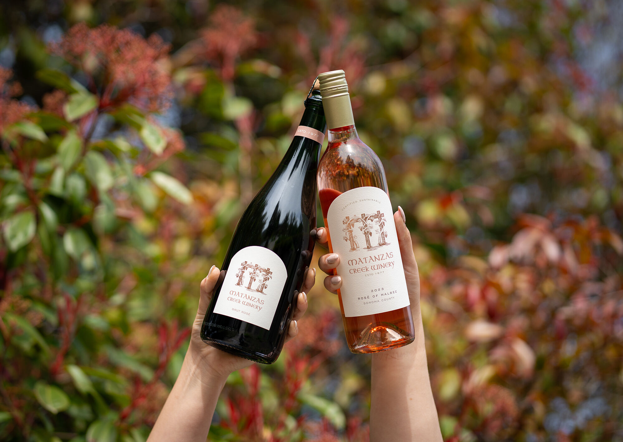 Two hands holding up one bottle of wine in each hand.